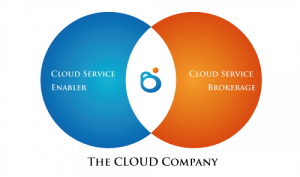 The Cloud Company The Cloud Company